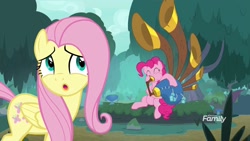 Size: 1920x1080 | Tagged: safe, screencap, character:fluttershy, character:pinkie pie, species:earth pony, species:pegasus, species:pony, episode:yakity-sax, g4, my little pony: friendship is magic, discovery family logo, duo, female, forest, mare, playing instrument, yovidaphone
