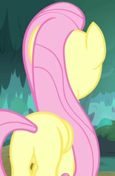Size: 709x1078 | Tagged: safe, screencap, character:fluttershy, species:pegasus, species:pony, episode:yakity-sax, g4, my little pony: friendship is magic, cropped, female, mare, plot, rear view, solo