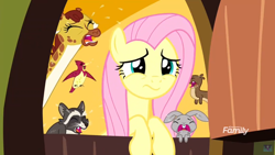 Size: 1920x1080 | Tagged: safe, screencap, character:clementine, character:fluttershy, species:bird, species:pony, species:rabbit, episode:yakity-sax, g4, my little pony: friendship is magic, animal, crying, female, fluttershy's cottage, giraffe, mare, otter, raccoon, regular show, rigby, woken up at a bad time
