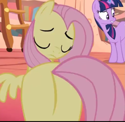 Size: 1019x989 | Tagged: safe, screencap, character:fluttershy, character:twilight sparkle, episode:bridle gossip, g4, my little pony: friendship is magic, cropped, flutterbutt, golden oaks library, out of context, plot, twilight flopple
