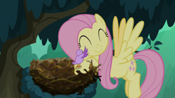 Size: 1280x720 | Tagged: safe, screencap, character:fluttershy, species:bird, species:pegasus, species:pony, episode:the mean 6, g4, my little pony: friendship is magic, season 8, bird nest, chick, cute, duo, eyes closed, female, flying, hug, kindness, mare, nest, shyabetes, tree