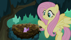 Size: 1280x720 | Tagged: safe, screencap, character:fluttershy, species:bird, species:pegasus, species:pony, episode:the mean 6, g4, my little pony: friendship is magic, season 8, bird nest, chick, cute, duo, female, flying, mare, nest, shyabetes, tree, waving