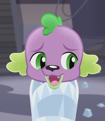 Size: 626x720 | Tagged: safe, screencap, character:spike, character:spike (dog), species:dog, episode:rarity investigates: the case of the bedazzled boot, g4, my little pony:equestria girls, bedazzled boot, male, puppy, rarity investigates (eqg): trixie, sad