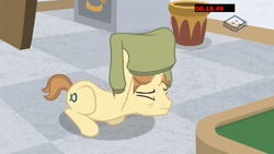Size: 1280x720 | Tagged: safe, screencap, character:alpha beta, episode:friendship university, g4, my little pony: friendship is magic, boomerang (tv channel), clothing, las pegasus resident, shirt, student