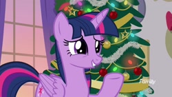 Size: 1920x1080 | Tagged: safe, screencap, character:twilight sparkle, character:twilight sparkle (alicorn), species:alicorn, species:pony, episode:the hearth's warming club, g4, my little pony: friendship is magic, christmas, christmas tree, cute, discovery family logo, female, grin, hearth's warming tree, holiday, mare, smiling, solo, squee, tree, twiabetes, underhoof