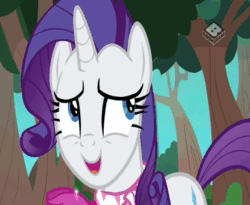 Size: 704x576 | Tagged: safe, screencap, character:rainbow dash, character:rarity, species:pegasus, species:pony, episode:the end in friend, g4, my little pony: friendship is magic, angry, animated, boomerang (tv channel), boots, eye contact, floppy ears, flying, forest, frown, hypocrite, looking at each other, nervous, raised hoof, raised leg, shoes, smiling, sound, sparkles, spread wings, talking, webm, wide eyes, wings