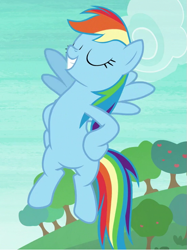 Size: 539x721 | Tagged: safe, screencap, character:rainbow dash, species:pegasus, species:pony, episode:non-compete clause, g4, my little pony: friendship is magic, cropped, flying, hooves on hips, pose, proud, rainboast dash