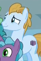 Size: 243x357 | Tagged: safe, screencap, character:fat stacks, character:opulence, species:earth pony, species:pony, episode:friendship university, g4, my little pony: friendship is magic, background pony, cropped, cutie mark, las pegasus resident, male, solo focus, stallion