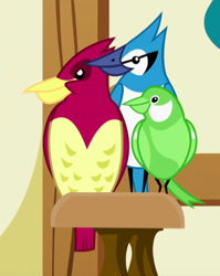 Size: 500x628 | Tagged: safe, screencap, episode:scare master, g4, my little pony: friendship is magic, animal, blue jay, cropped, songbird, trio