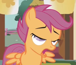 Size: 830x706 | Tagged: safe, screencap, character:scootaloo, species:pegasus, species:pony, episode:call of the cutie, g4, my little pony: friendship is magic, cropped, faec, female, filly, great moments in animation, lidded eyes, mid-blink screencap, open mouth, solo