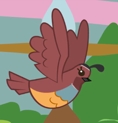 Size: 362x379 | Tagged: safe, screencap, species:bird, episode:owl's well that ends well, g4, my little pony: friendship is magic, animal, cropped, flying, no pony, quail, solo, spread wings, wings