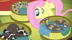 Size: 1280x720 | Tagged: safe, screencap, character:fluttershy, episode:yakity-sax, g4, my little pony: friendship is magic, chipmunk, ferret, raccoon, regular show, rigby