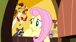 Size: 1280x720 | Tagged: safe, screencap, character:clementine, character:fluttershy, species:bird, species:rabbit, episode:yakity-sax, g4, my little pony: friendship is magic, crying, giraffe, raccoon