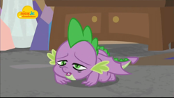 Size: 1024x576 | Tagged: safe, screencap, character:spike, species:dragon, episode:school raze, g4, my little pony: friendship is magic, all fours, choking, male, nickelodeon, solo, winged spike