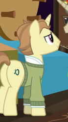 Size: 312x563 | Tagged: safe, screencap, character:alpha beta, species:pony, species:unicorn, episode:grannies gone wild, g4, my little pony: friendship is magic, background pony, clothing, cropped, cutie mark, las pegasus resident, male, sweater