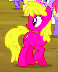 Size: 345x430 | Tagged: safe, screencap, character:cherry berry, species:earth pony, species:pony, episode:putting your hoof down, g4, my little pony: friendship is magic, background pony, cropped, female, mare, raised hoof, smiling, solo focus