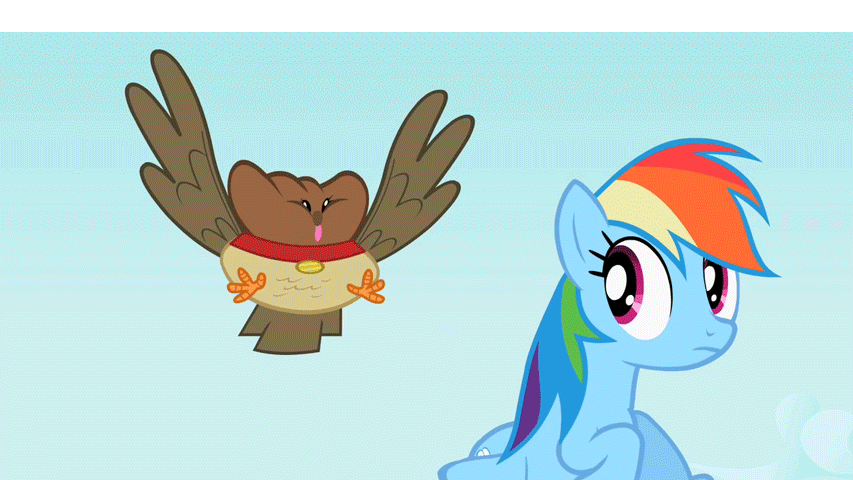 Size: 853x480 | Tagged: safe, screencap, character:owlowiscious, character:rainbow dash, character:winona, episode:may the best pet win, g4, my little pony: friendship is magic, allpet, great moments in animation, nightmare fuel