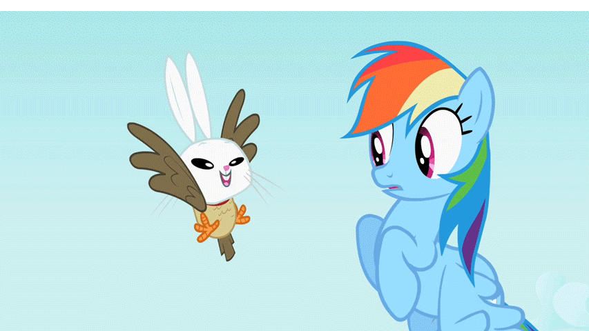 Size: 853x480 | Tagged: safe, screencap, character:angel bunny, character:owlowiscious, character:rainbow dash, species:pegasus, species:pony, episode:may the best pet win, g4, my little pony: friendship is magic, allpet
