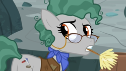 Size: 1920x1080 | Tagged: safe, screencap, character:professor fossil, species:earth pony, species:pony, episode:a rockhoof and a hard place, g4, my little pony: friendship is magic, brush, clothing, discovery family logo, female, glasses, jacket, looking back, mare, mouth hold, neckerchief, professor fossil, solo