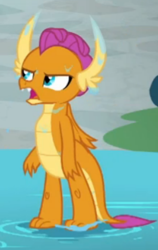 Size: 269x426 | Tagged: safe, screencap, character:smolder, species:dragon, episode:a rockhoof and a hard place, g4, my little pony: friendship is magic, claws, cropped, dragoness, fangs, female, folded wings, horns, smolder is not amused, solo, toes, unamused, water, wet, wings