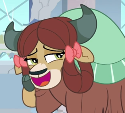 Size: 928x834 | Tagged: safe, screencap, character:yona, species:yak, episode:a rockhoof and a hard place, g4, my little pony: friendship is magic, cloven hooves, cropped, cute, female, open mouth, solo, yonadorable