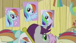 Size: 1280x720 | Tagged: safe, screencap, character:rainbow dash, species:pony, episode:the mysterious mare do well, g4, my little pony: friendship is magic, flag, rainbow dash fanclub