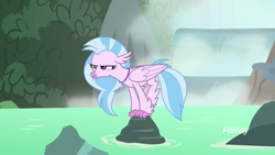 Size: 1920x1080 | Tagged: safe, screencap, character:silverstream, species:classical hippogriff, species:hippogriff, episode:what lies beneath, g4, my little pony: friendship is magic, season 8, behaving like a bird, birds doing bird things, female, narrowed eyes, perching, rock, silverstream is not amused, solo, unamused, water