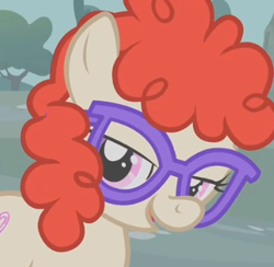 Size: 343x335 | Tagged: safe, screencap, character:twist, species:pony, episode:call of the cutie, g4, my little pony: friendship is magic, cropped, female, filly, glasses