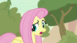 Size: 1280x720 | Tagged: safe, screencap, character:fluttershy, species:pegasus, species:pony, episode:sounds of silence, g4, my little pony: friendship is magic, female, mare, open mouth, solo