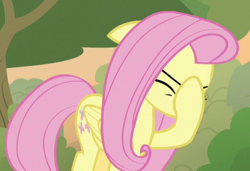 Size: 510x348 | Tagged: safe, screencap, character:fluttershy, species:pegasus, species:pony, episode:sounds of silence, g4, my little pony: friendship is magic, cropped, eyes closed, facehoof, female, mare, solo