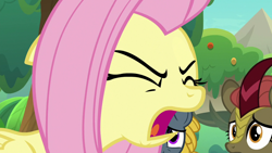 Size: 1280x720 | Tagged: safe, screencap, character:fluttershy, character:maple brown, character:winter flame, species:kirin, species:pony, episode:sounds of silence, g4, my little pony: friendship is magic, angry, background kirin, eyes closed, female, mare, open mouth, solo focus
