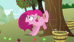 Size: 1280x720 | Tagged: safe, screencap, character:pinkamena diane pie, character:pinkie pie, species:earth pony, species:pony, episode:magical mystery cure, g4, my little pony: friendship is magic, apple, apple tree, applebucking, broken leg, bucket, female, food, mare, open mouth, solo, swapped cutie marks, tree, underhoof, what my cutie mark is telling me
