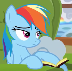 Size: 545x540 | Tagged: safe, screencap, character:rainbow dash, species:pegasus, species:pony, episode:flutter brutter, g4, my little pony: friendship is magic, book, couch, cropped, female, mare, solo