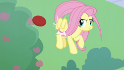 Size: 1280x720 | Tagged: safe, screencap, character:fluttershy, species:pegasus, species:pony, episode:father knows beast, g4, my little pony: friendship is magic, ball, female, flying, mare, solo