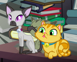 Size: 750x596 | Tagged: safe, screencap, episode:pinkie apple pie, g4, my little pony: friendship is magic, animal, bell, bell collar, book, cat, collar, cropped, derp cat, duo, dust cat, goldie delicious' cats, paws, picture, siamese cat, tongue out
