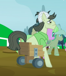 Size: 298x342 | Tagged: safe, screencap, species:earth pony, species:pony, episode:leap of faith, g4, my little pony: friendship is magic, bandage, bandaged head, cropped, male, solo focus, stallion, theodore donald "donny" kerabatsos, wheelchair