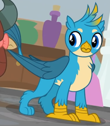 Size: 378x434 | Tagged: safe, screencap, character:gallus, character:yona, species:griffon, episode:school raze, g4, my little pony: friendship is magic, chest fluff, claws, cropped, male, offscreen character, paws, solo, wings