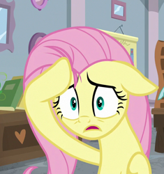 Size: 508x540 | Tagged: safe, screencap, character:fluttershy, species:pegasus, species:pony, episode:school daze, g4, my little pony: friendship is magic, cropped, female, mare, solo