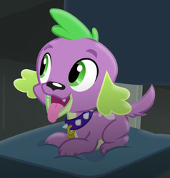 Size: 599x630 | Tagged: safe, screencap, character:spike, character:spike (dog), species:dog, equestria girls:friendship games, g4, my little pony:equestria girls, chair, collar, cropped, cute, eyebrows, green eyes, happy, looking up, male, office chair, paws, puppy, sitting, solo, spikabetes, tail, tongue out