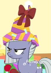 Size: 757x1080 | Tagged: safe, screencap, character:limestone pie, species:earth pony, species:pony, episode:best gift ever, g4, my little pony: friendship is magic, clothing, cropped, female, hat, limestone is not amused, mare, solo, unamused