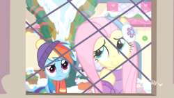 Size: 1920x1080 | Tagged: safe, screencap, character:fluttershy, character:rainbow dash, species:pegasus, species:pony, episode:best gift ever, g4, my little pony: friendship is magic, clothing, cute, duo, female, hat, mare, pondering, scarf, snow, window