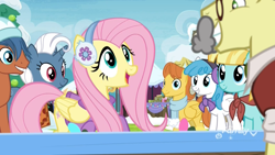 Size: 1920x1080 | Tagged: safe, screencap, character:flim, character:fluttershy, character:helia, character:white lightning, species:earth pony, species:pegasus, species:pony, episode:best gift ever, g4, my little pony: friendship is magic, clean sweep, clothing, discovery family logo, disguise, earmuffs, female, happy, heart pacer, love sketch, male, mare, open mouth, scarf, smiling, stallion, sweater, warm front
