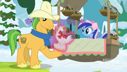 Size: 1920x1080 | Tagged: safe, screencap, character:bushel, character:hoss, character:minuette, species:bird, species:chicken, species:earth pony, species:pony, species:rooster, species:unicorn, episode:best gift ever, g4, my little pony: friendship is magic, apple family member, basket, bow, female, glowing horn, levitation, magic, magic aura, male, mare, stallion, statuette, telekinesis, vendor stall