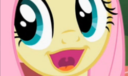 Size: 1121x668 | Tagged: safe, screencap, character:fluttershy, episode:may the best pet win, g4, my little pony: friendship is magic, cropped, meme, smug, solo