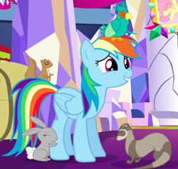 Size: 821x781 | Tagged: safe, screencap, character:rainbow dash, species:bird, species:pegasus, species:pony, species:rabbit, episode:castle sweet castle, g4, my little pony: friendship is magic, animal, awkward, cropped, female, ferret, mare, popinjay, sitting on head, squirrel
