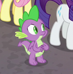 Size: 289x292 | Tagged: safe, screencap, character:fluttershy, character:rarity, character:spike, species:dragon, episode:school raze, g4, my little pony: friendship is magic, claws, cropped, hoof focus, male, tail, toes, winged spike, worried