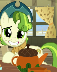 Size: 535x680 | Tagged: safe, screencap, character:pistachio, species:pony, episode:best gift ever, g4, my little pony: friendship is magic, cropped, looking at you, male, pistachiaww, smiling, solo, teenager