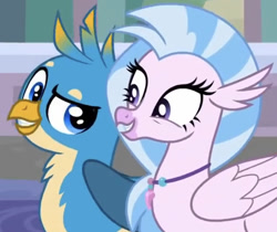 Size: 642x539 | Tagged: safe, screencap, character:gallus, character:silverstream, species:classical hippogriff, species:griffon, species:hippogriff, episode:a matter of principals, g4, my little pony: friendship is magic, cropped, cute, diastreamies, duo, female, friends, male, raised eyebrow, smiling