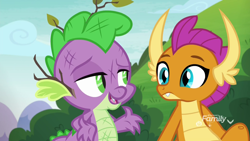 Size: 1920x1080 | Tagged: safe, screencap, character:smolder, character:spike, species:dragon, episode:father knows beast, g4, my little pony: friendship is magic, claws, dragoness, fangs, female, horns, leaves, messy, open mouth, outdoors, twig