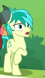 Size: 231x398 | Tagged: safe, screencap, character:sandbar, species:earth pony, species:pony, episode:a matter of principals, g4, my little pony: friendship is magic, cropped, cutie mark, male, shocked, teenager